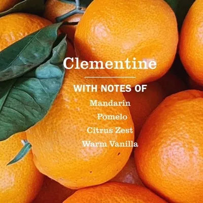 Clementine Liquid Dish Soap – 16 fl oz
