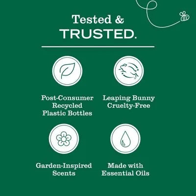 Clementine Liquid Dish Soap – 16 fl oz